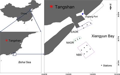 Structural and Functional Improvements of Coastal Ecosystem Based on Artificial Oyster Reef Construction in the Bohai Sea, China